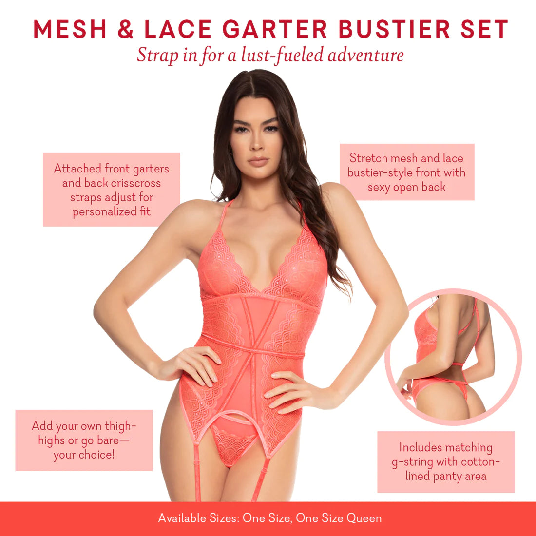 Mesh & Lace Garter Bustier Set (OS/OSQ)