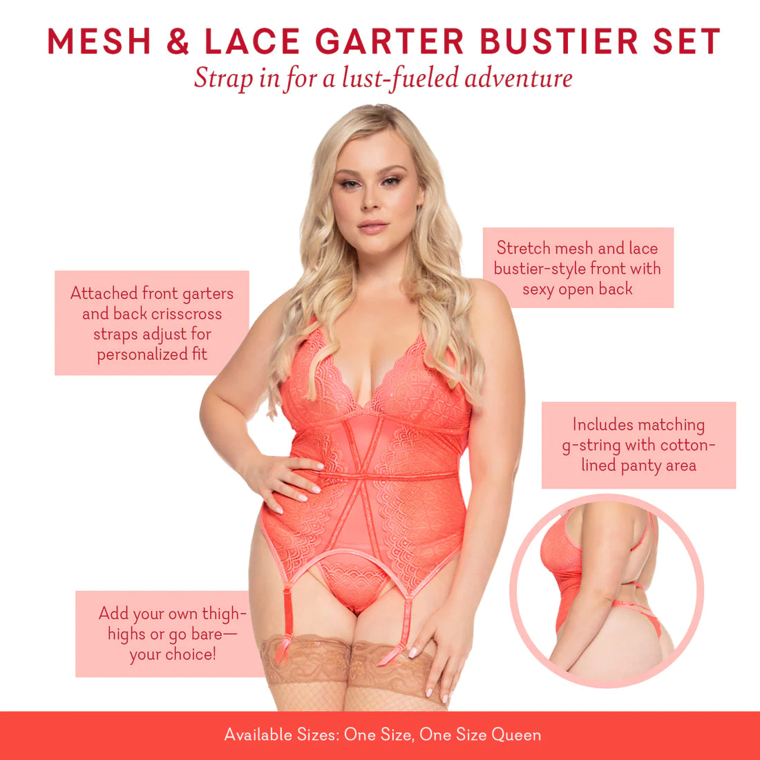 Mesh & Lace Garter Bustier Set (OS/OSQ)