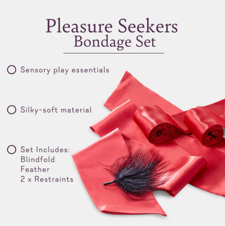 Pleasure Seekers Playset